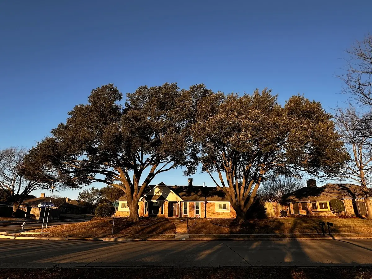 Established residential canopy tree shading a home in Fort Klamath