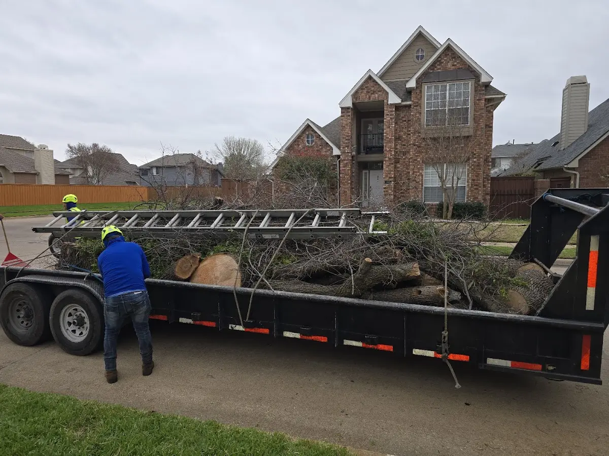 Expert Tree Fertilization with proper safety equipment in Fort Klamath